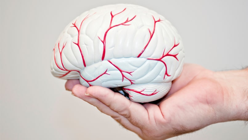  Vì sao tai biến mạch máu não có thể tái phát? 